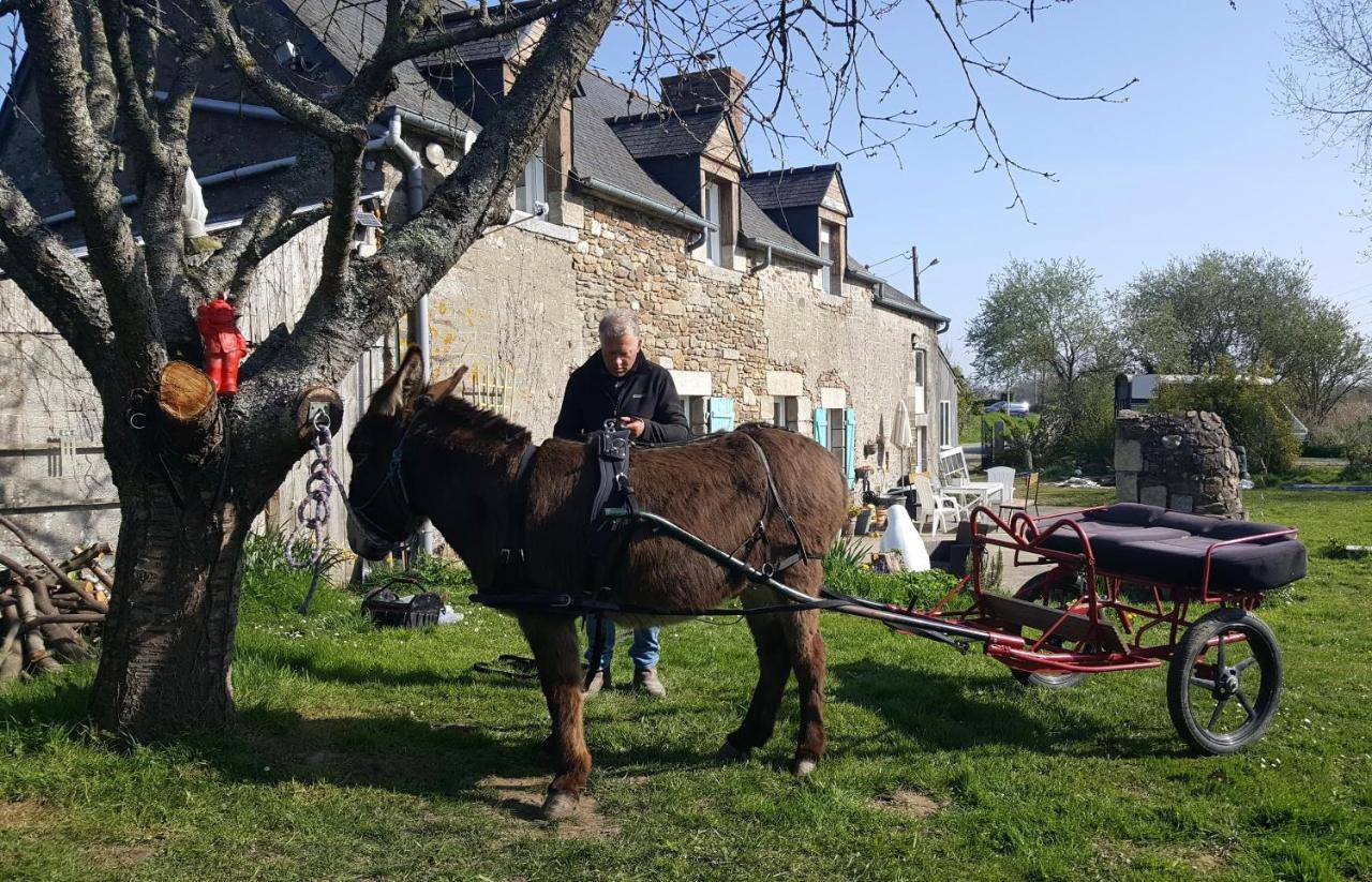 Gite Annarmor Mont St Michel Tremereuc ภายนอก รูปภาพ
